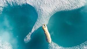 En iyi drone fotoğrafları