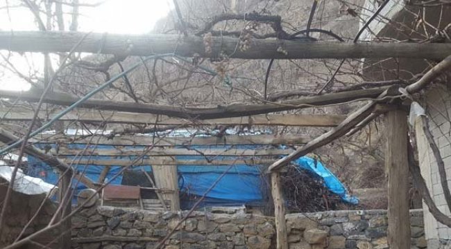 Görenler şaştı kaldı! Donup kalmış...