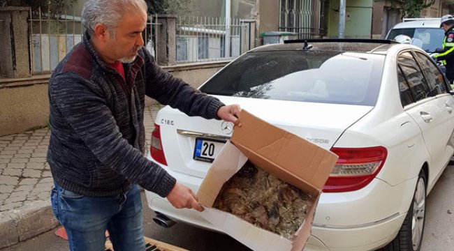 Lüks otomobilde şok eden görüntüler!