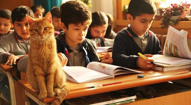 Öğrenciler Tombi'ye kavuştu