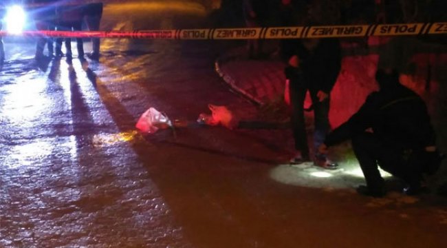 Ordu'da silahlı saldırı: 1 kişi öldü