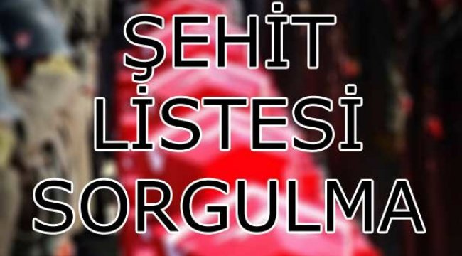 Şehit listesi sorgulama ekranı - Yoğun ilginin ardından flaş açıklama geldi!