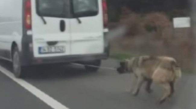 Skandal olay sonrası sürücüye verilen ceza belli oldu