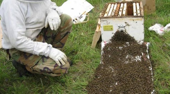 Teröristler oraya bile bomba düzeneği kurmuş!