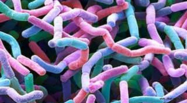 Toprakta yeni bir antibiyotik familyası bulundu