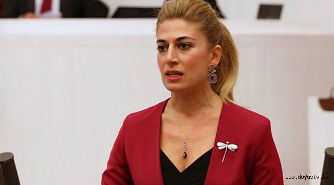 CHP'li Didem Engin'den seçim ittifakına karşı imza kampanyası