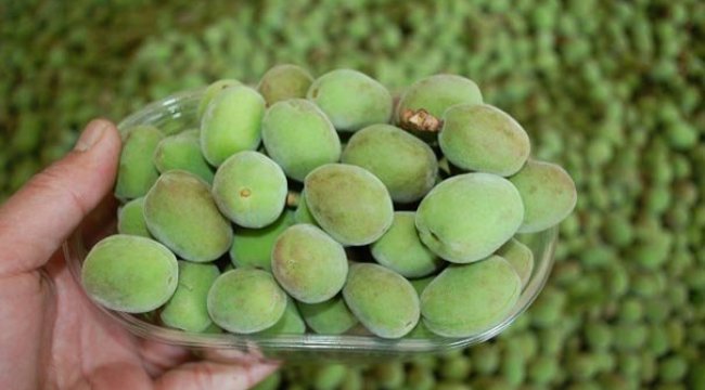 Kayısı çağlası 15 liradan alıcı buluyor
