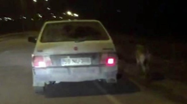 Köpeği otomobile bağlayıp koşturan iki kardeşe verilen ceza belli oldu