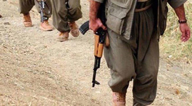 Şırnak'ta 2 terörist teslim oldu