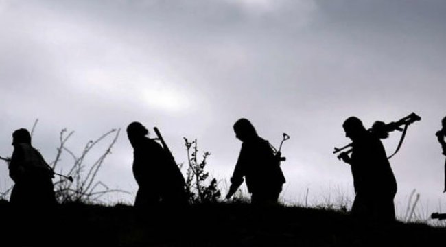 Son dakika! PKK'nın üst düzey isimlerine nokta infazı