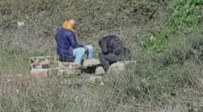 TEM otoyolu kenarında yürek sızlatan bonzai krizi