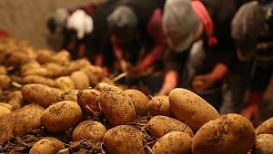Uyarı geldi! Daha fazla tüketin, 400 bin ton tehlikede…