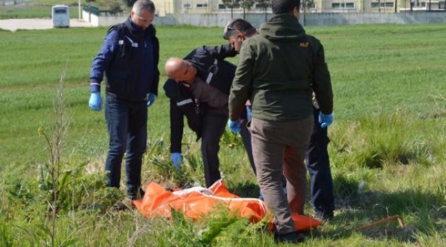 Cesedi yol kenarında bulundu