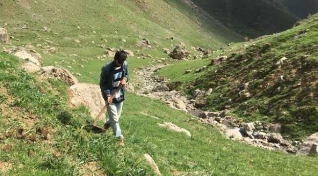 Köyde herkes onun peşinde! Kilometrelerce yol gidiyorlar
