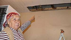 Mutfaktan içeri girdiler! Yaşlı kadın ne yapacağını şaşırdı