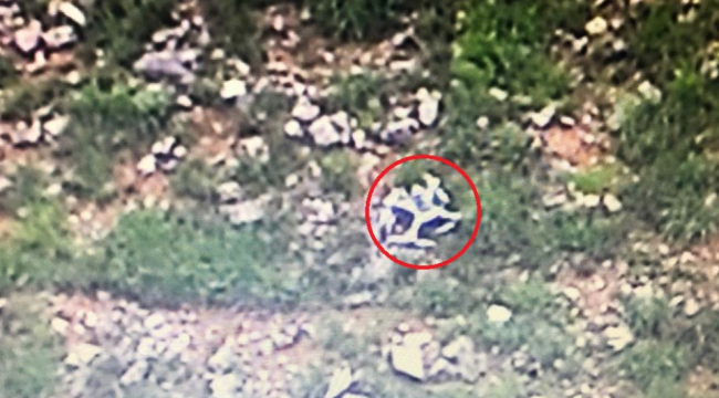 Teröristlere ait drone düşürüldü