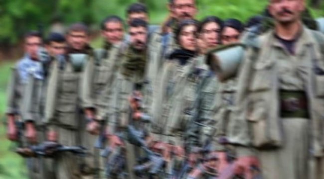 Afrin'de yakalanan 8 terörist tutuklandı