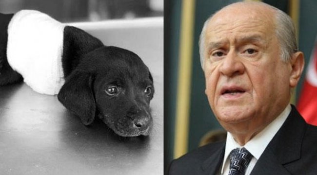 Bahçeli'den ağlatan olaya tepki: Gözümün önünden o fotoğraf bir türlü gitmiyor