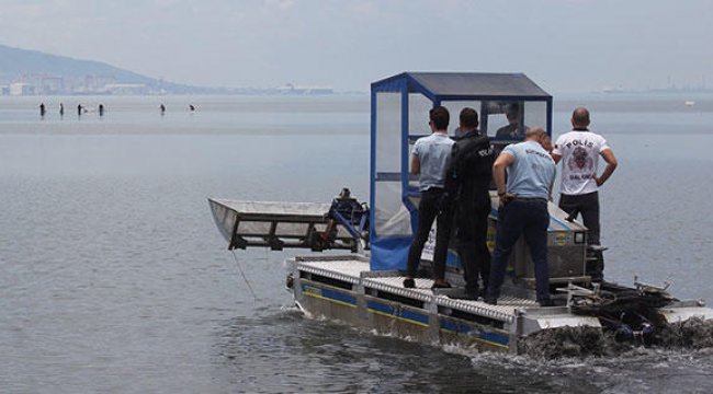 Denizin ortasında midyeciler kaçtı, onlar kovaladı. Denizden çıkanlar herkesi şaşırttı