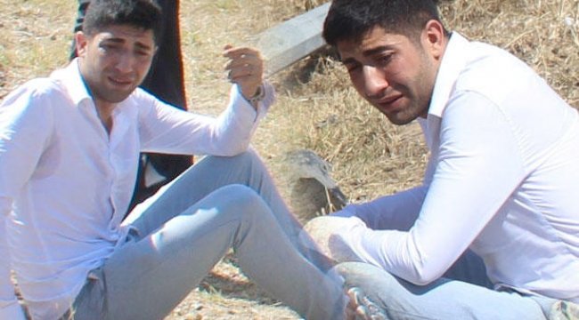 Kaza yapınca kaldırma oturup ağladı!