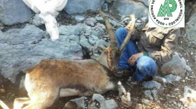 Sosyal medyadan yakalanan kaçak avcılara ceza yağdı