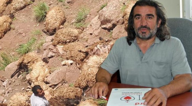 Van'da herkesi şoke eden olayla ilgili açıklama