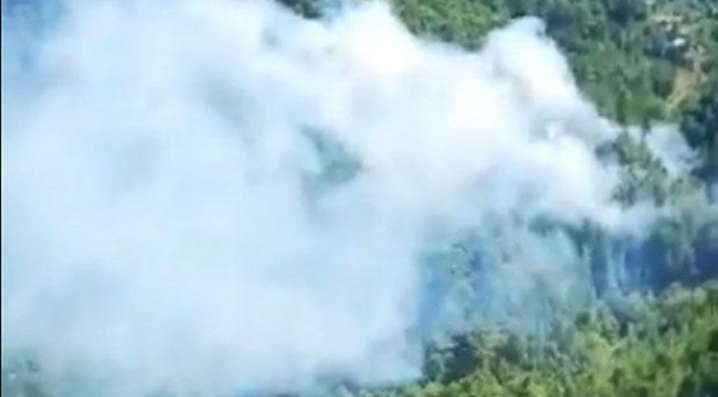 Antalya’da orman yangını