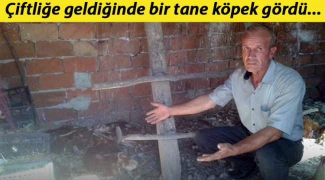 'Malım mülküm gitse bu kadar üzülmezdim'