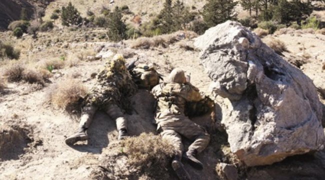 PKK'ya darbe: Kayıp başvurusunun ardından kıskıvrak yakalandılar