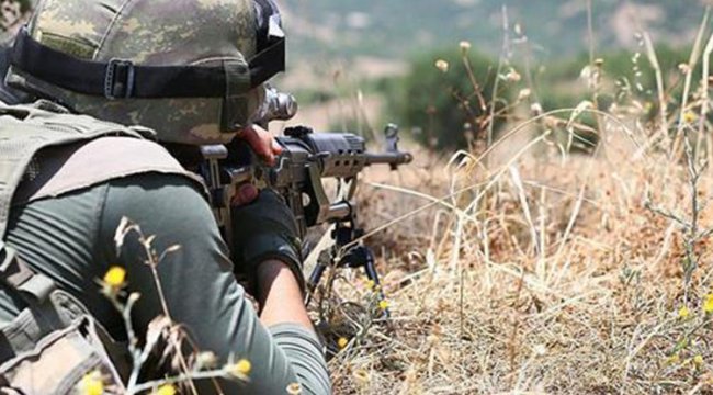 Mardin'de PKK'ya operasyon