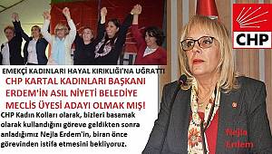 CHP KARTAL'DA NEJLA ERDEM TEPKİSİ BÜYÜYOR!