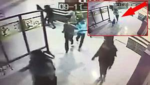 Kocaeli'de pitbull okul koridoruna girdi!