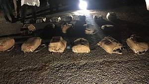 Mardin'de 250 kilo patlayıcı bulundu, 5 kişi gözaltına alındı!