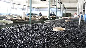 Marmarabirlik'ten 110 Milyon TL'lik Ödeme