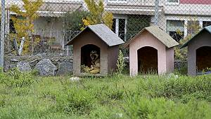 Onlar Üşürse Yüreğimiz Donar!