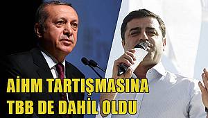 Türkiye Barolar Birliği de AİHM tartışmasına dahil oldu...