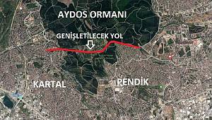 Aydos ormanı yola feda edildi!