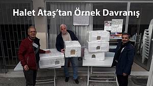 CHP Maltepe Meclis üyesi aday adayı Halet Ataş'tan KEDİLER ve KUŞLAR için sıcak yuvalar!