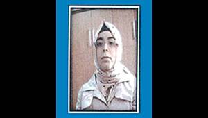  DEAŞ'lı terörist teslim oldu