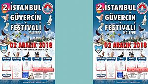 MALTEPE'DE GÜVERCİN FESTİVALİ!