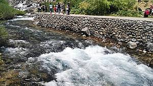 Munzur'daki tüm HES projelerine iptal: Munzur Vadisi kazandı!