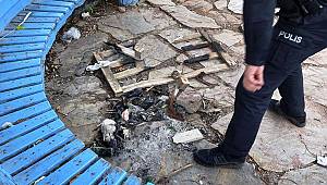 Parkta vahşet! Yakarak öldürdüler... 