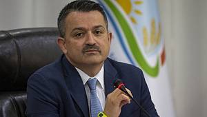 Bakan Pakdemirli Müjdeyi Verdi: Buzağı Destek Ödemeleri 11-18 Ocak'ta Yapılacak