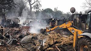 Büyükadada çıkan yangının sebebi belli oldu!