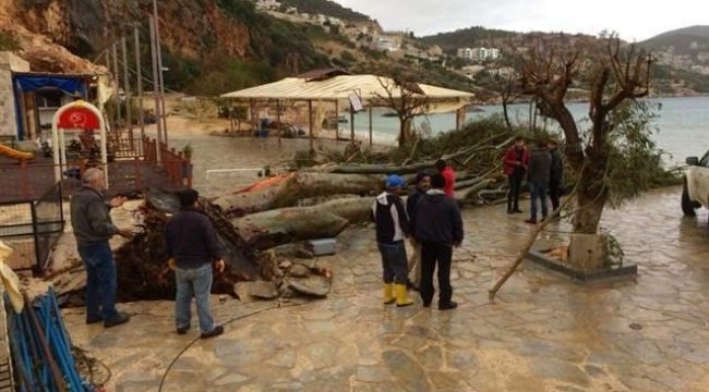 Fırtına, Kalkan'da ağaçları devirdi, çatıları uçurdu