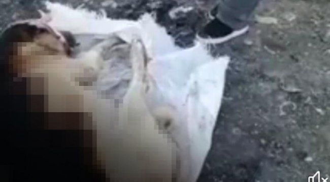 Hayvanseverler isyan etti... ''Bunu yapan insanlar toplatılsın''