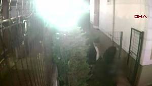 İsrail'den Gelip Kız Kardeşini Öldürdü