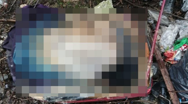 Valizin içinden vahşet çıktı