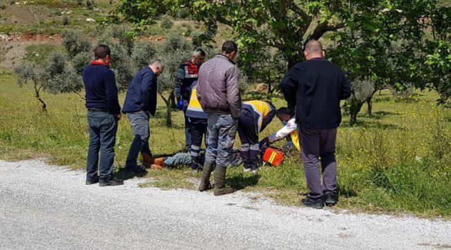 Çoban yol kenarında ölü bulundu