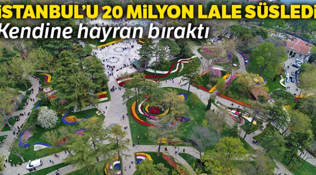 İstanbul’u 20 milyon lale renklendiriyor